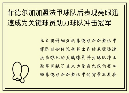 菲德尔加加盟法甲球队后表现亮眼迅速成为关键球员助力球队冲击冠军