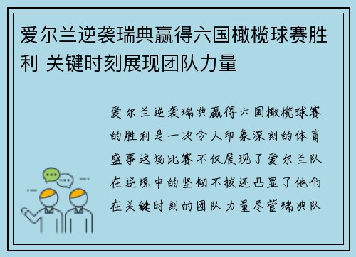 爱尔兰逆袭瑞典赢得六国橄榄球赛胜利 关键时刻展现团队力量