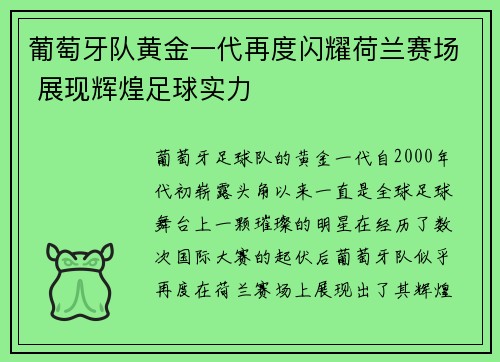 葡萄牙队黄金一代再度闪耀荷兰赛场 展现辉煌足球实力