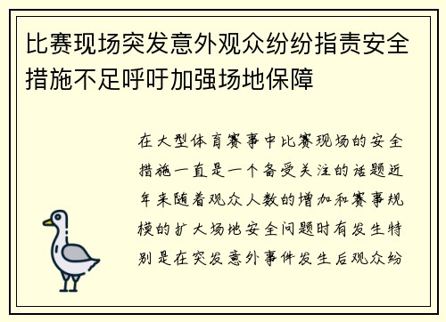 比赛现场突发意外观众纷纷指责安全措施不足呼吁加强场地保障